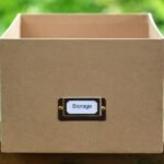 Google Drive To Dropbox
