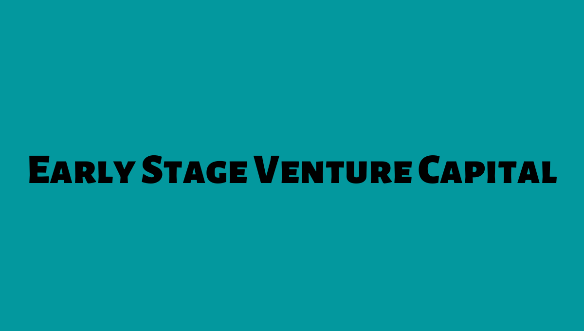 early stage venture capitalist
