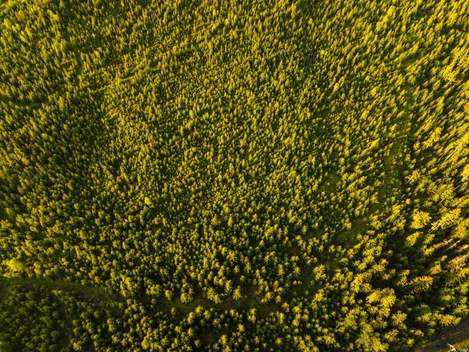 aerial imaging solutions