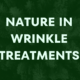 Natural wrinkle treatments