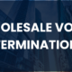 Wholesale Voice Termination