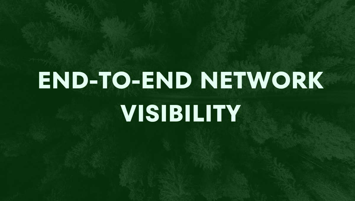 End-to-End Network Visibility