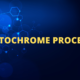Autochrome process