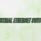 Industrial Ethernet Switches