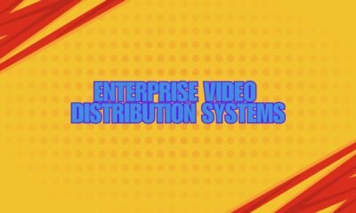 Enterprise video distribution systems