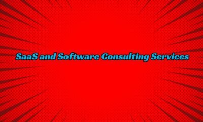 SaaS and Software Consulting