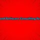 SaaS and Software Consulting