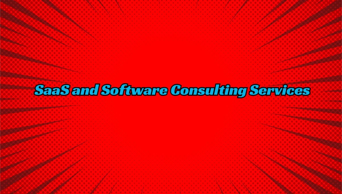SaaS and Software Consulting