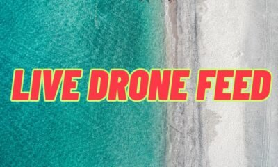 Live Drone Feed